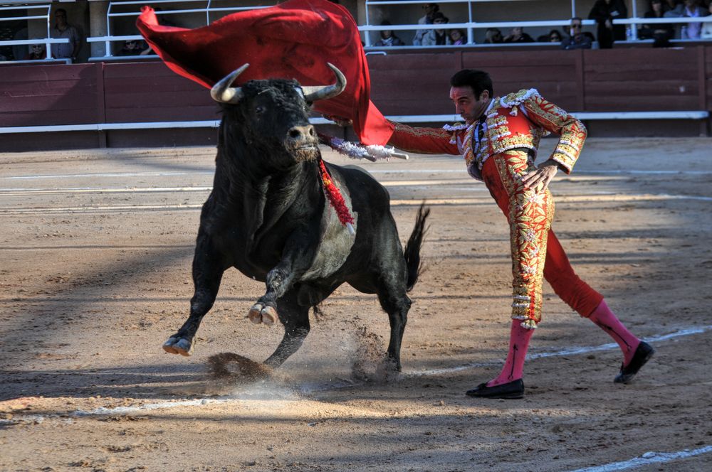 2016cordimamistres (221)