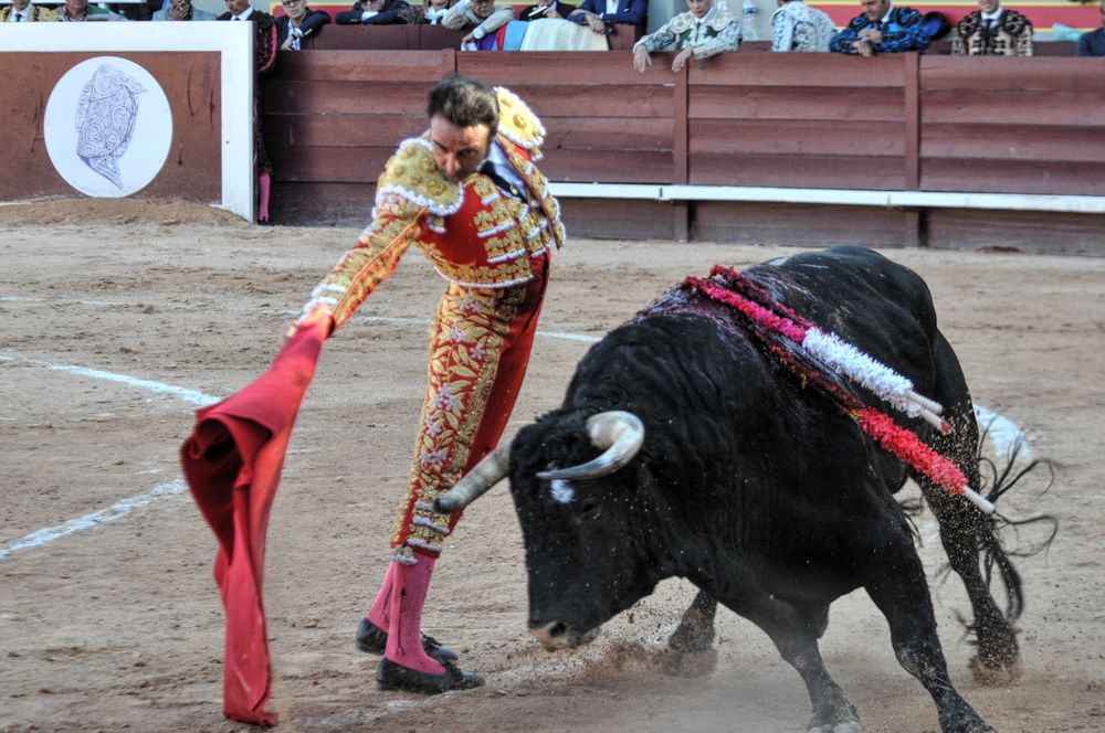 2016cordimamistres (224)