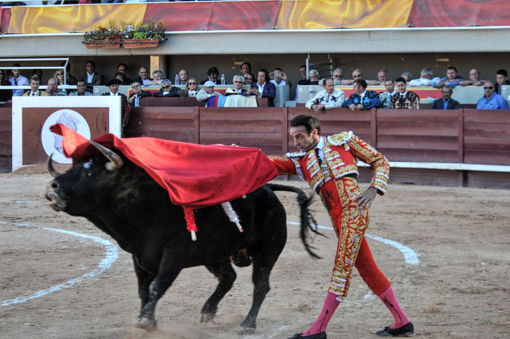2016cordimamistres (226)