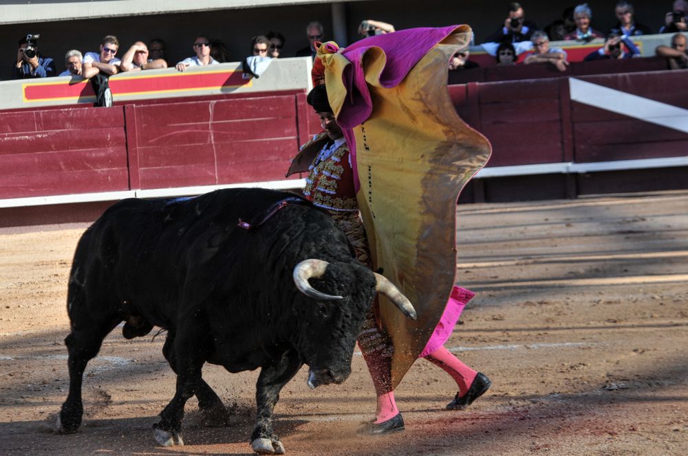 2016cordimamistres (235)