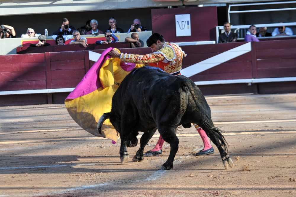2016cordimamistres (238)