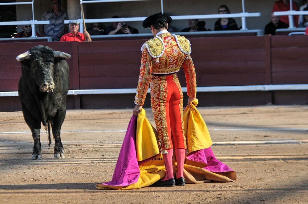 2016cordimamistres (240)