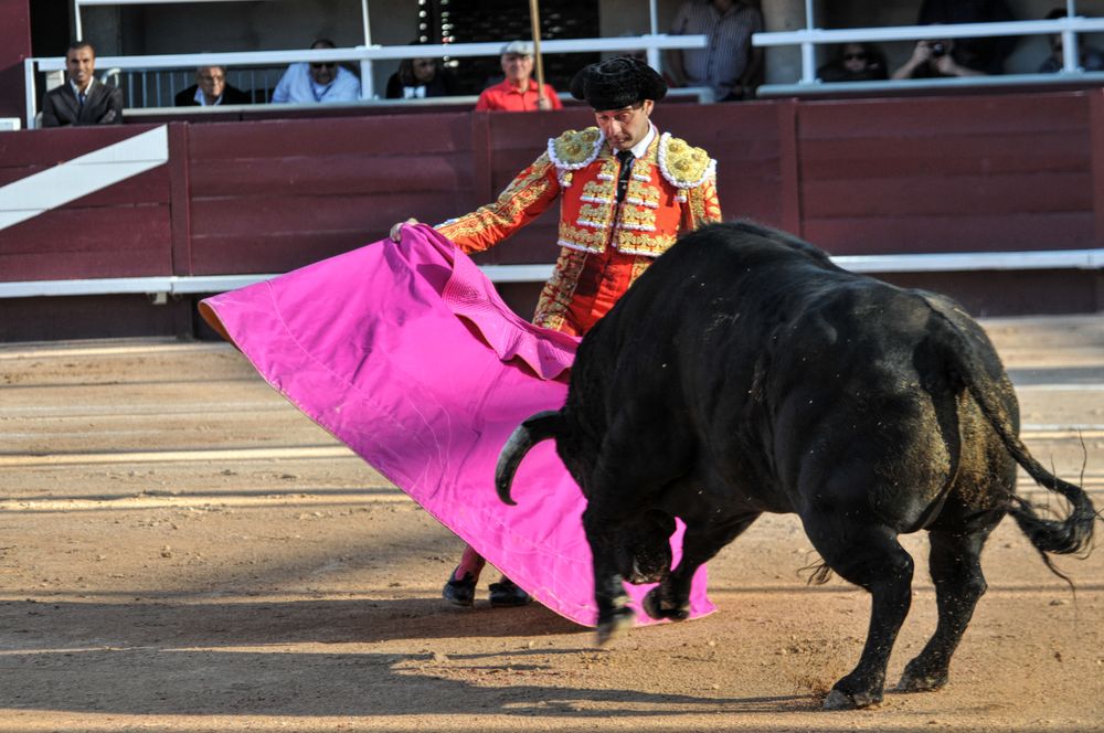2016cordimamistres (242)