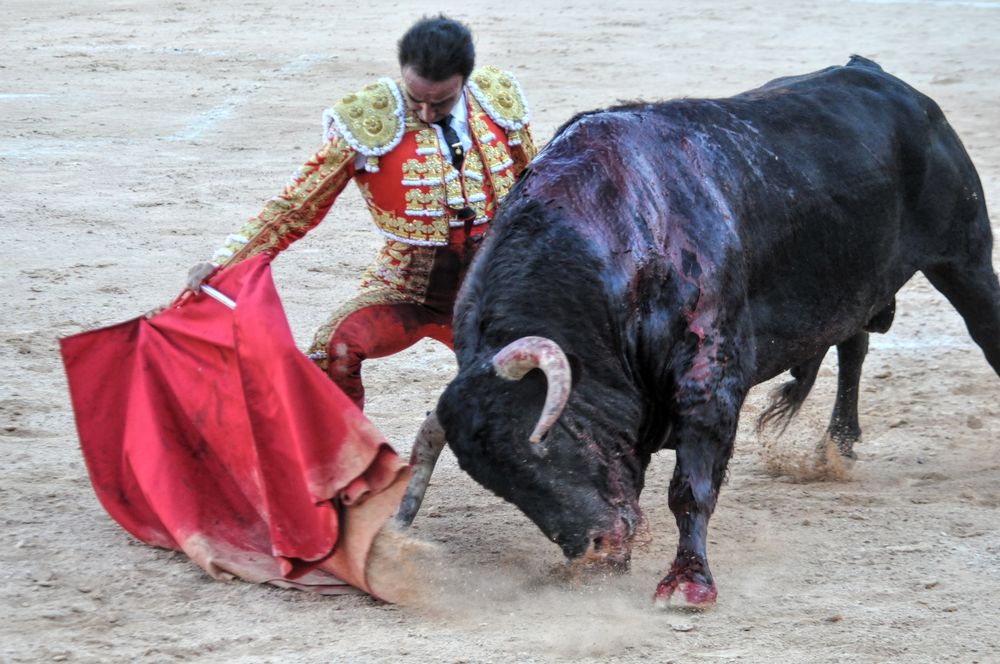 2016cordimamistres (25)