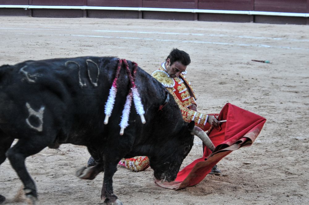 2016cordimamistres (26)