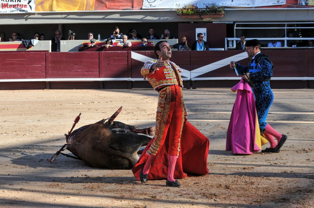 2016cordimamistres (268)