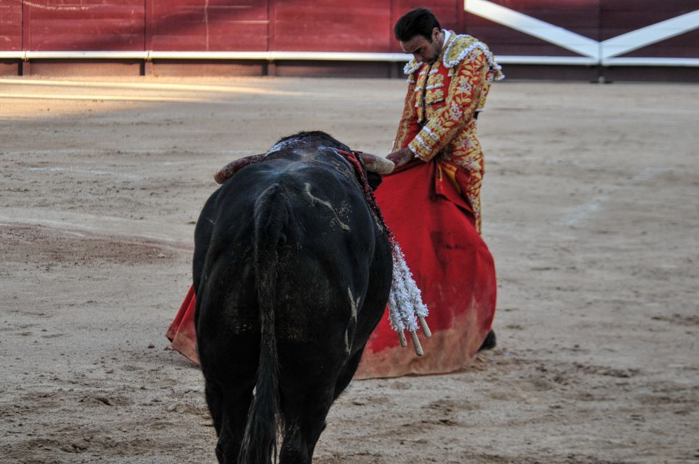 2016cordimamistres (27)