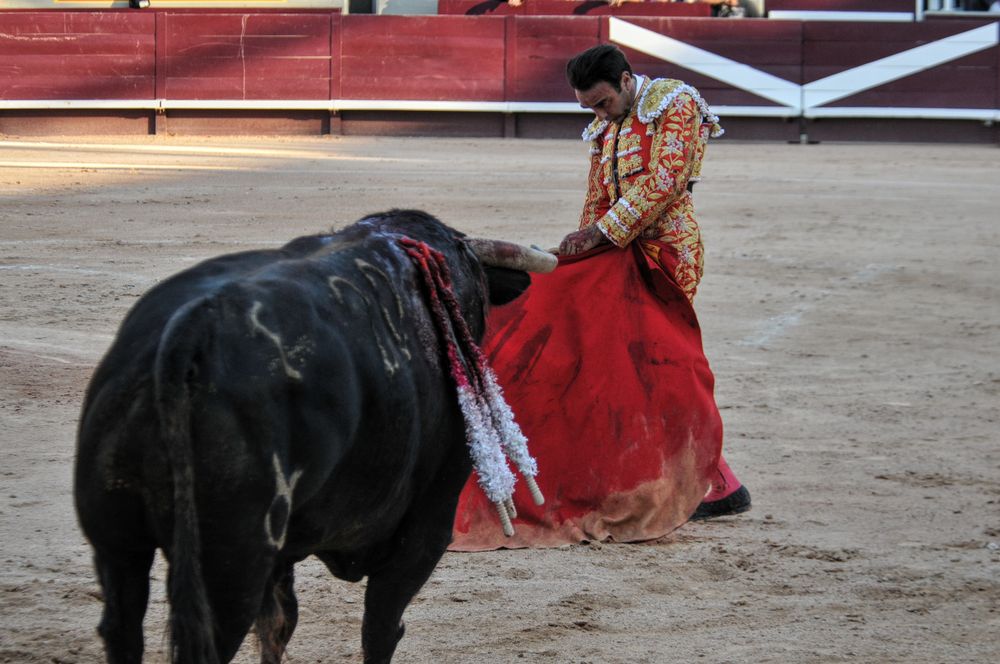 2016cordimamistres (28)