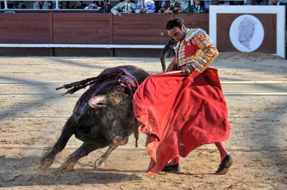 2016cordimamistres (285)
