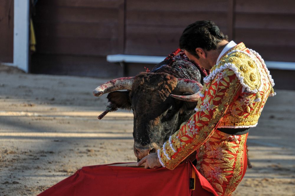 2016cordimamistres (287)