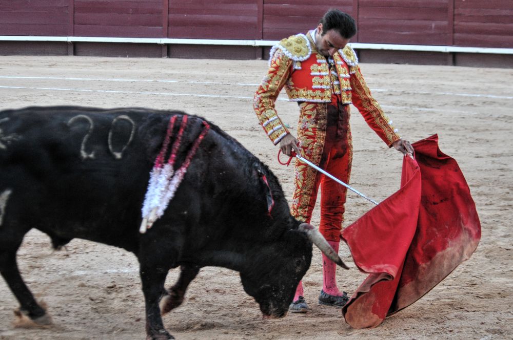 2016cordimamistres (29)