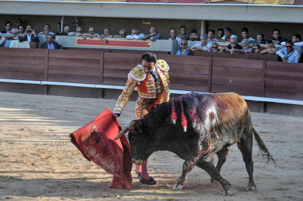 2016cordimamistres (290)