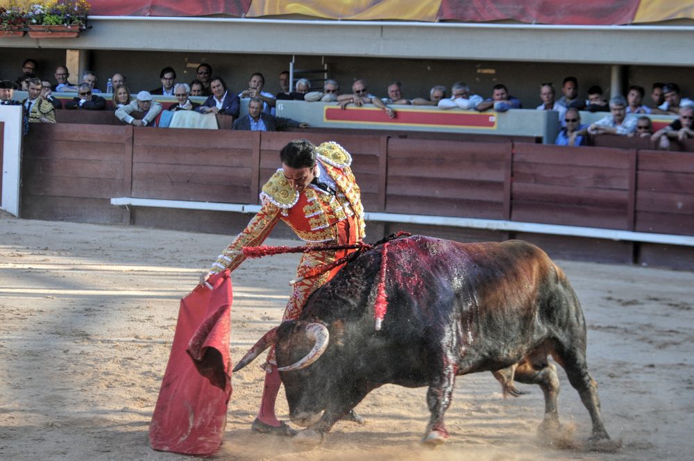 2016cordimamistres (293)