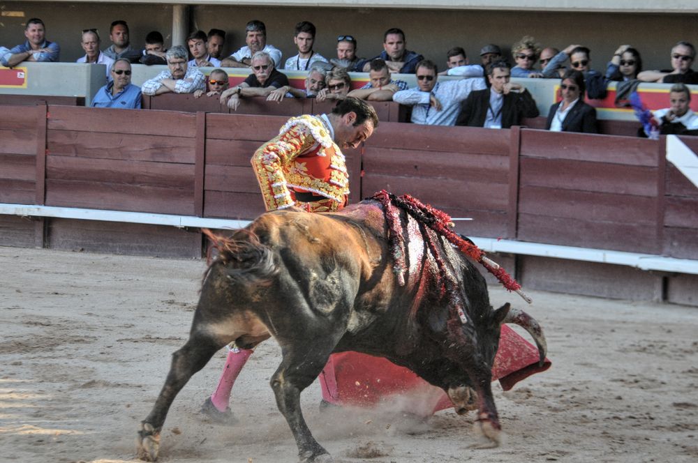 2016cordimamistres (294)