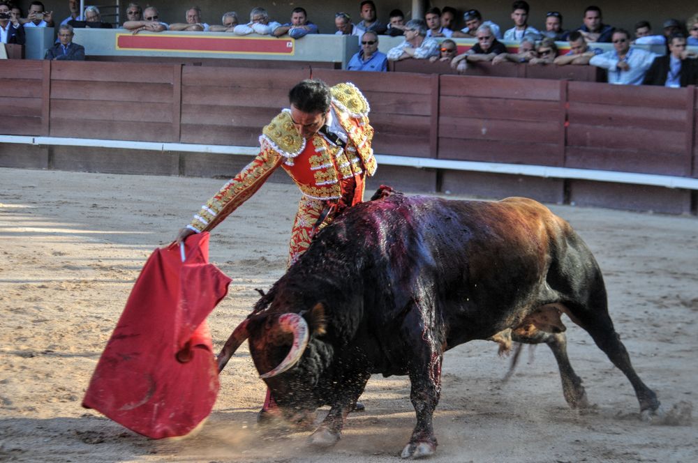 2016cordimamistres (296)