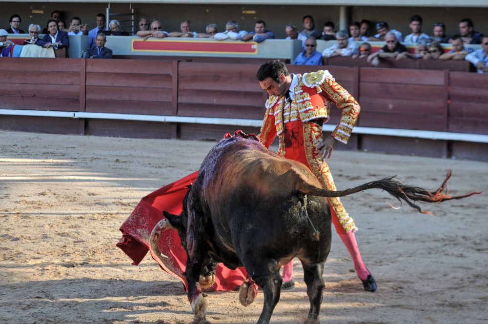 2016cordimamistres (298)
