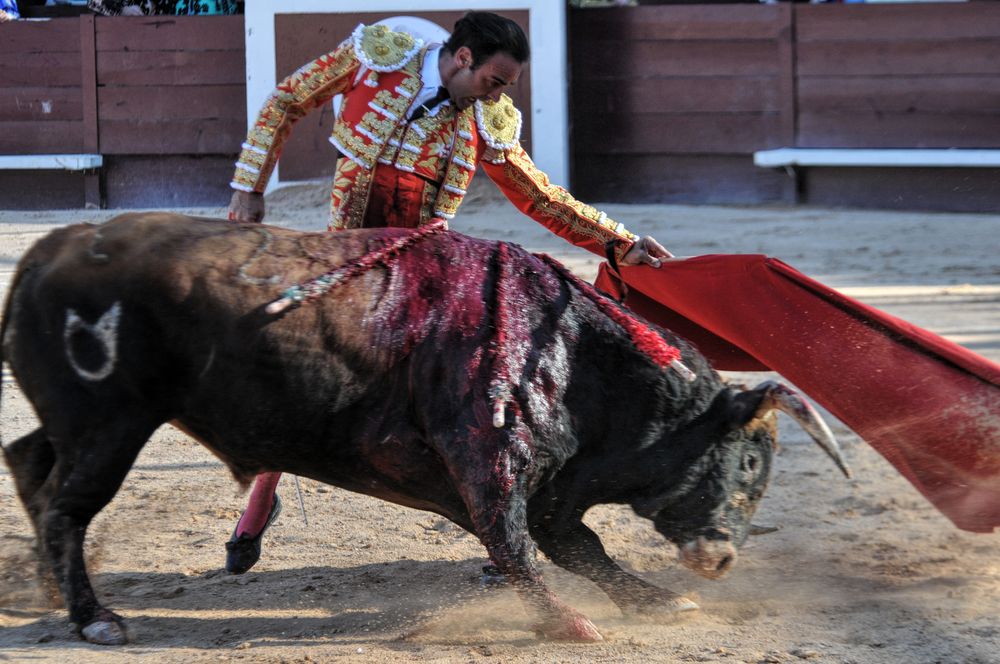 2016cordimamistres (304)