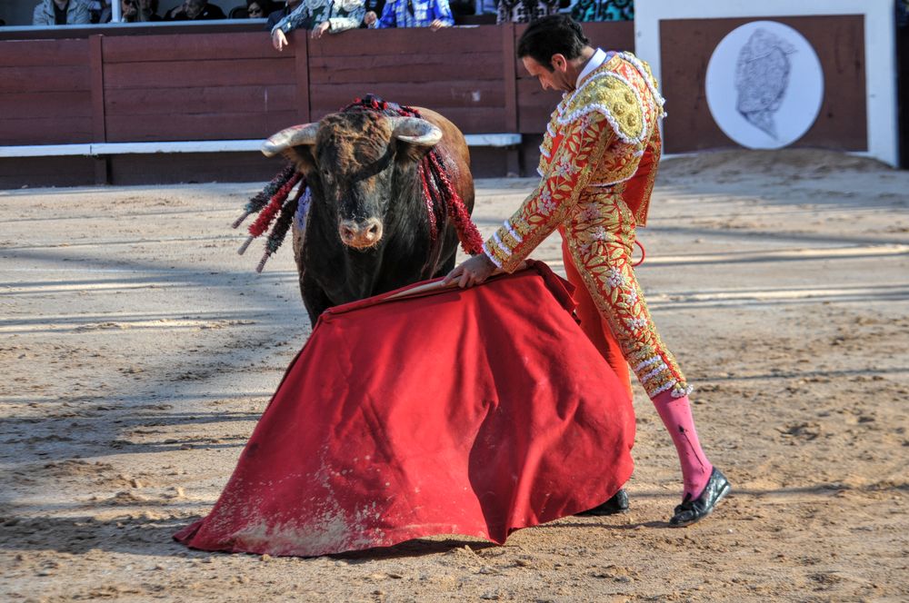 2016cordimamistres (306)