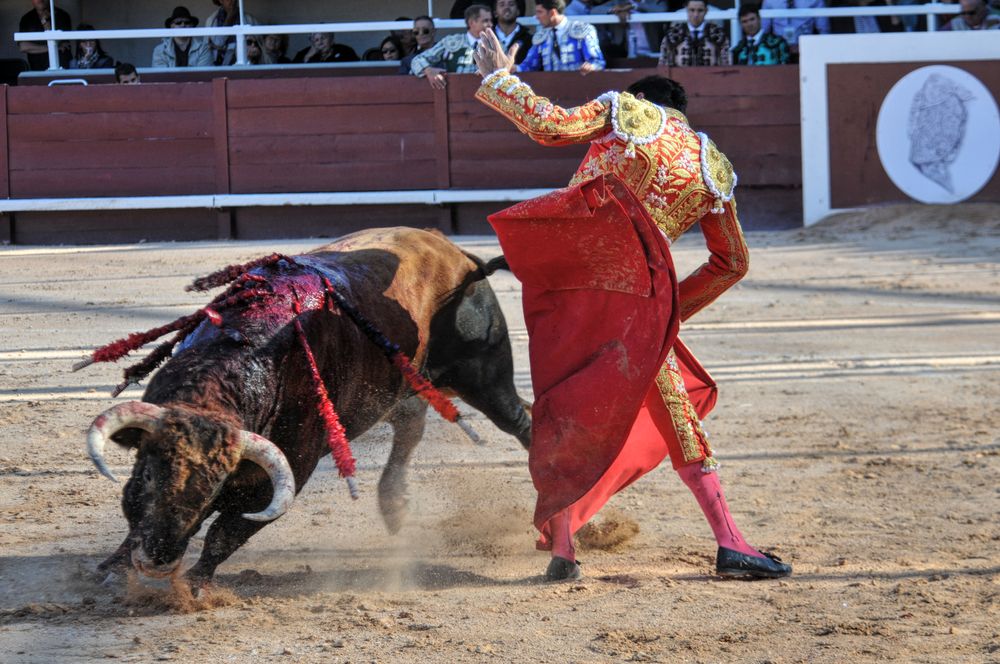 2016cordimamistres (310)