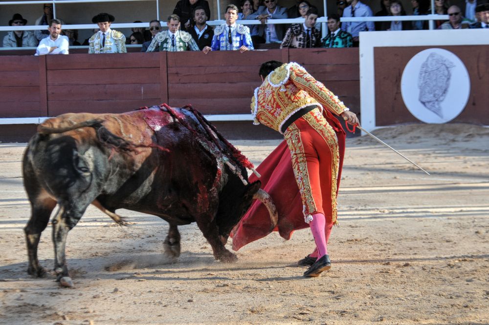 2016cordimamistres (313)