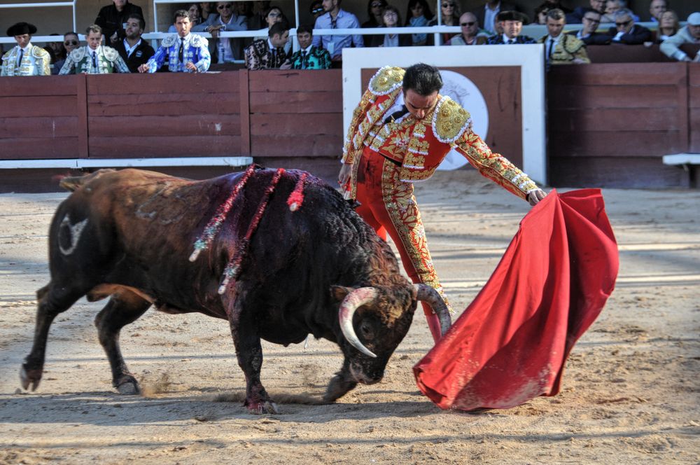 2016cordimamistres (315)