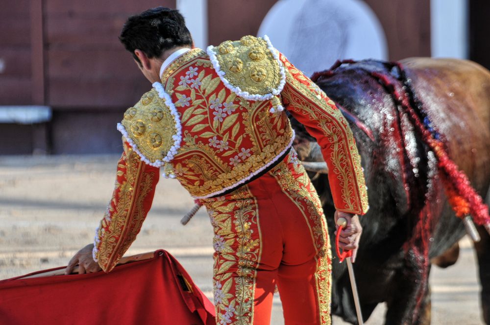 2016cordimamistres (318)