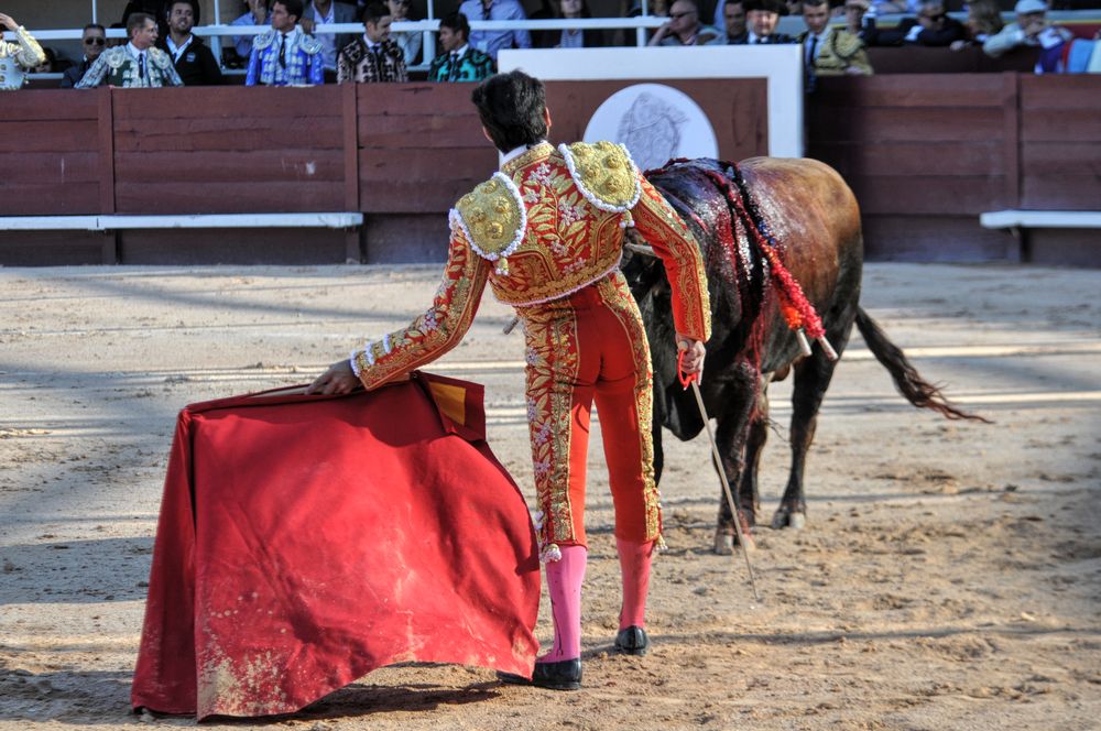 2016cordimamistres (319)