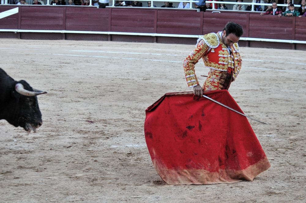 2016cordimamistres (32)
