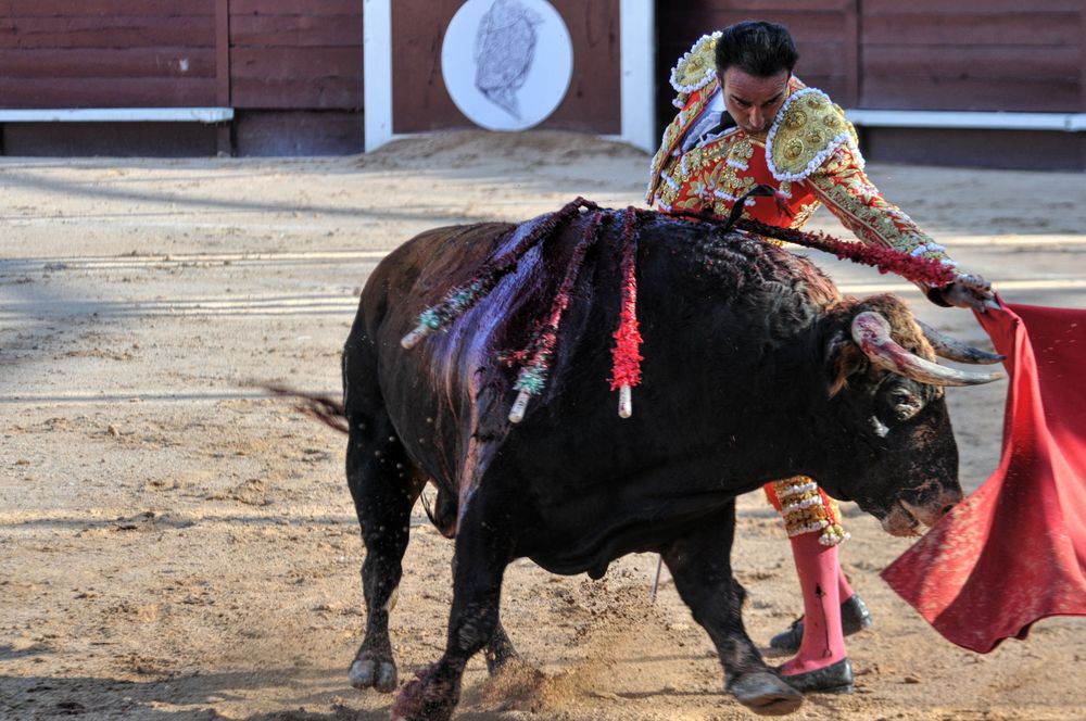 2016cordimamistres (321)