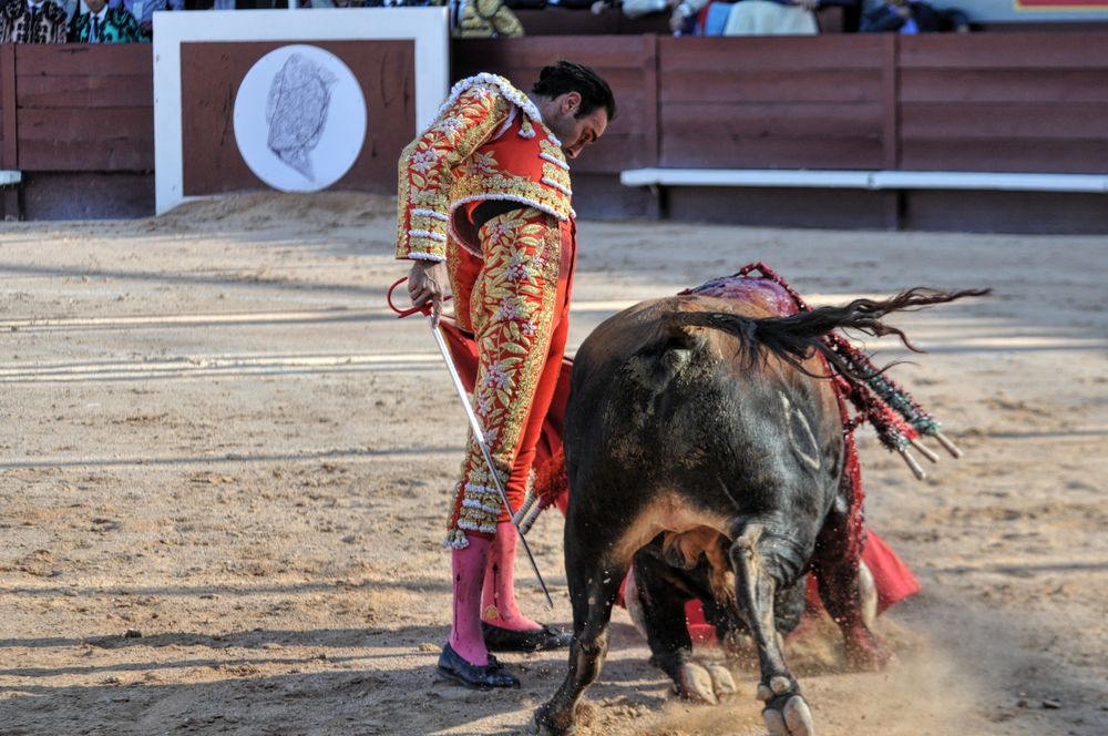 2016cordimamistres (322)
