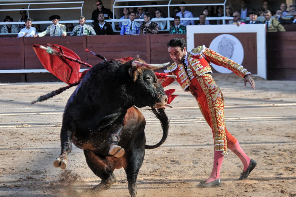 2016cordimamistres (323)
