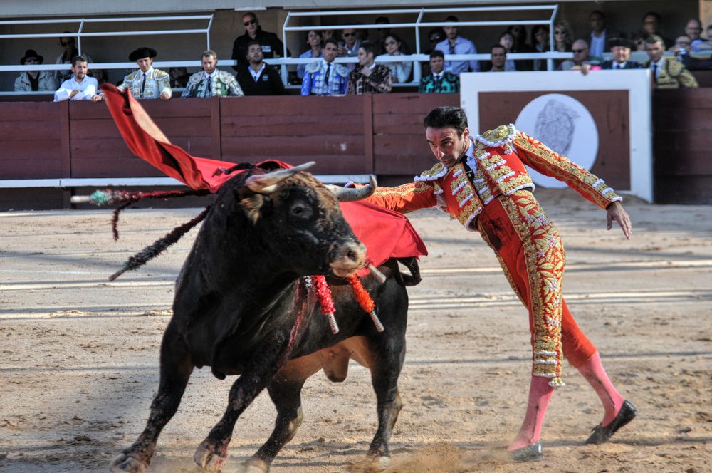2016cordimamistres (324)
