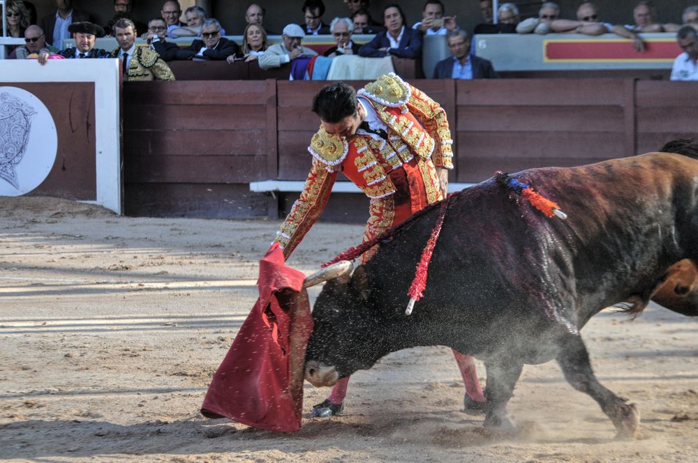 2016cordimamistres (325)