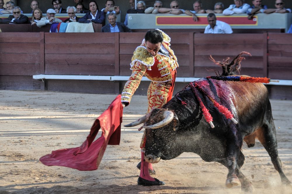 2016cordimamistres (327)