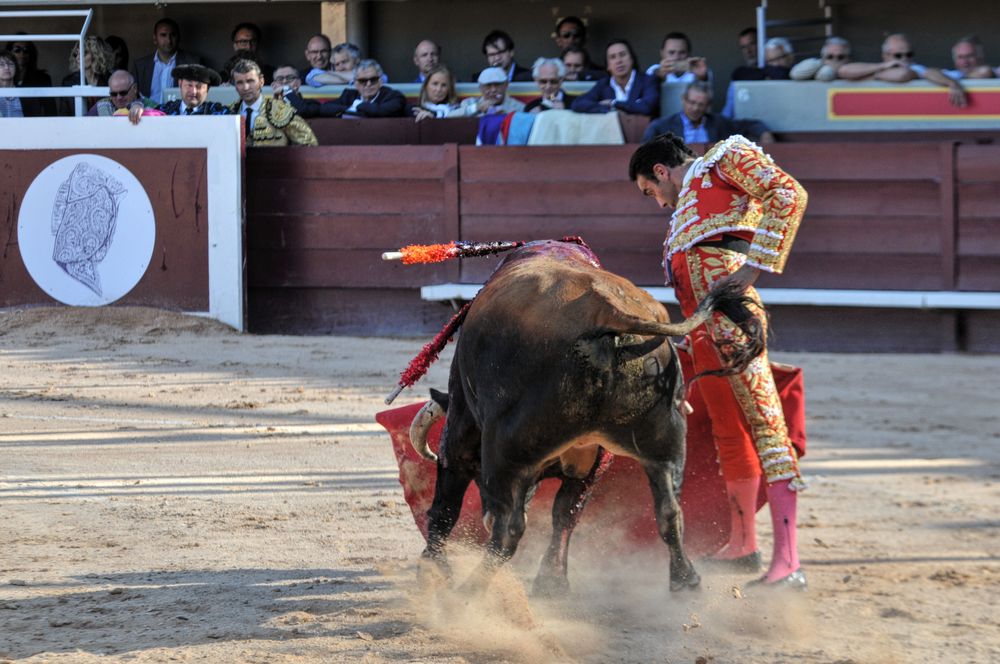 2016cordimamistres (328)