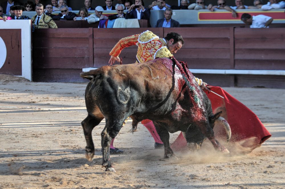 2016cordimamistres (329)