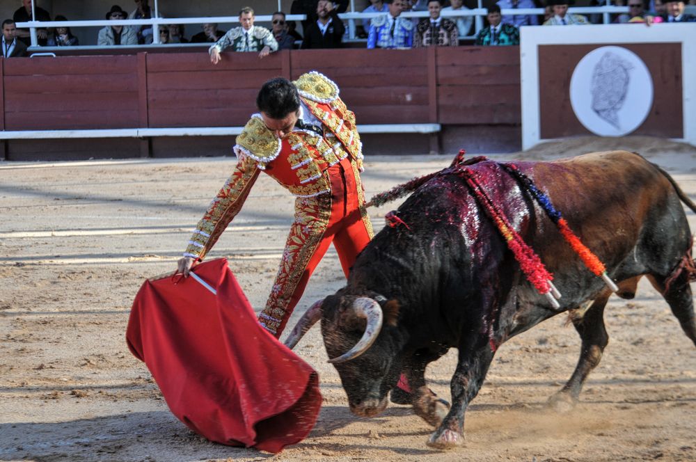2016cordimamistres (338)