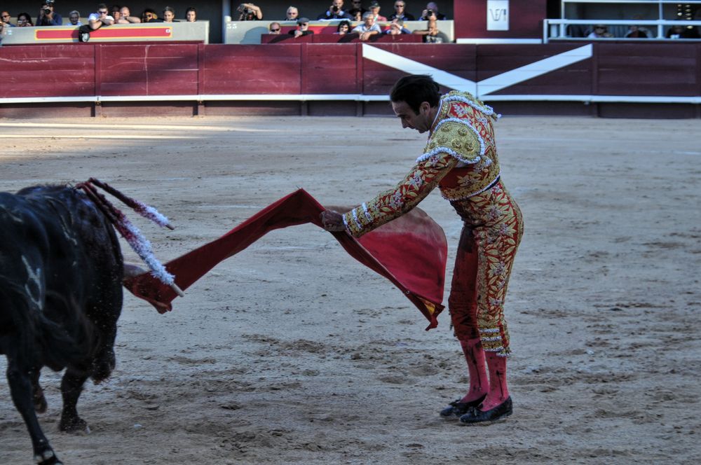 2016cordimamistres (34)