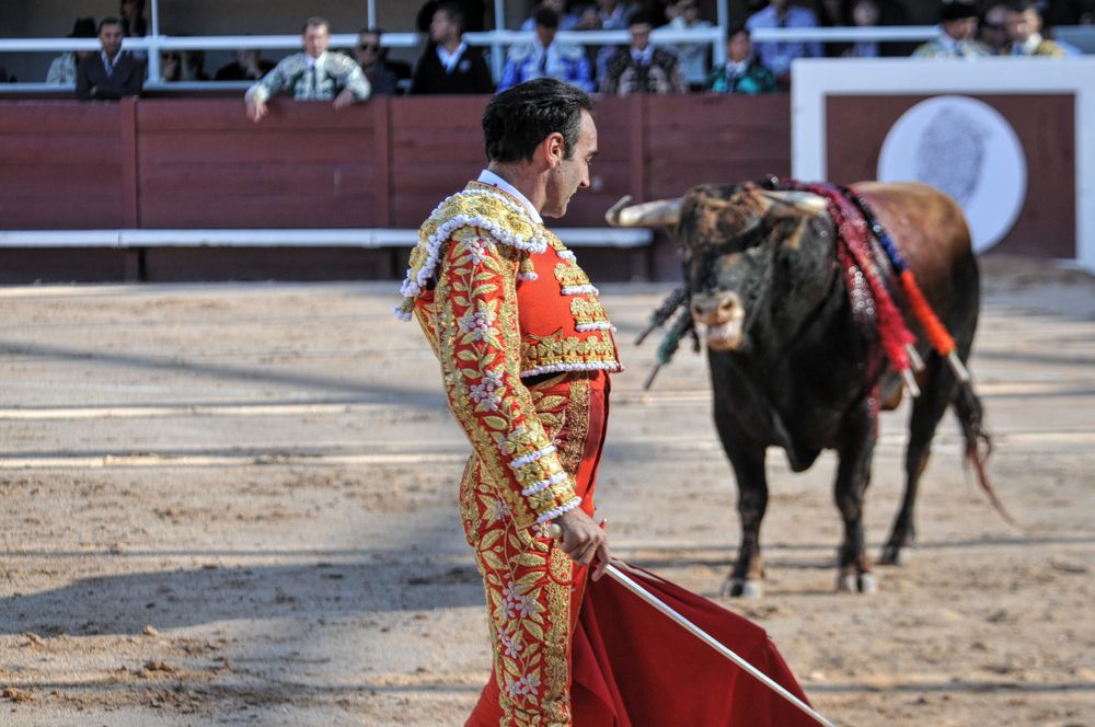 2016cordimamistres (340)