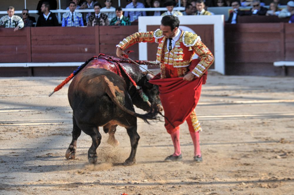 2016cordimamistres (342)