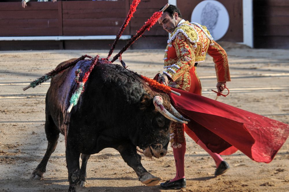 2016cordimamistres (344)