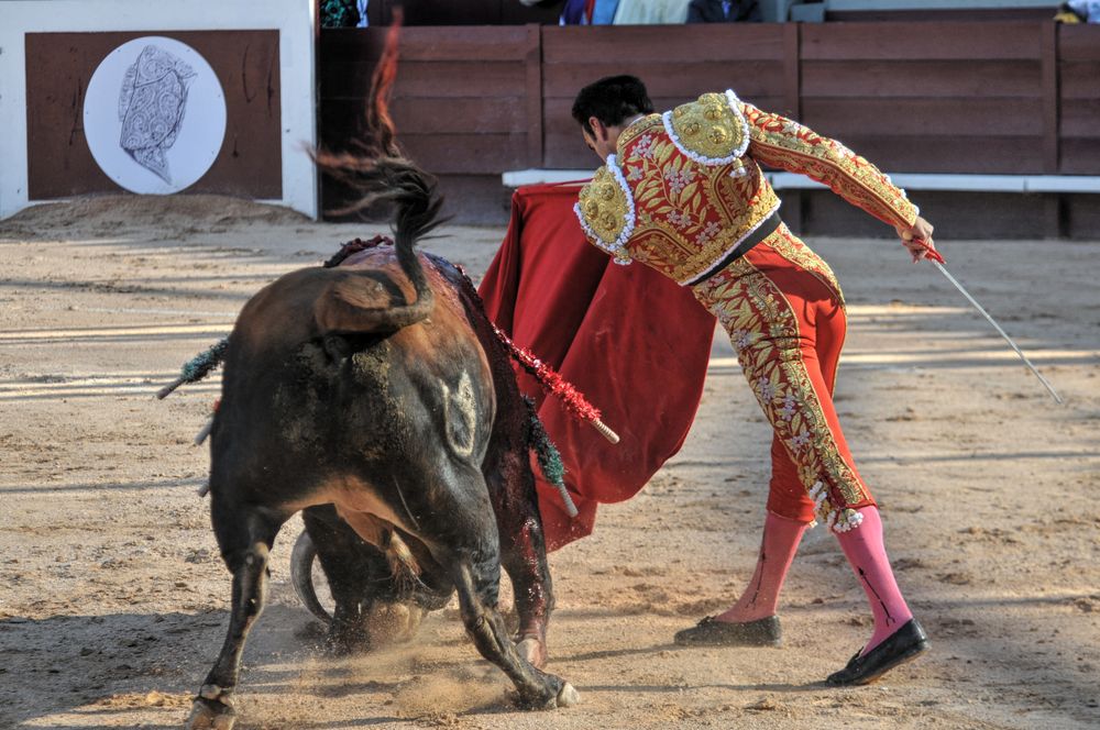 2016cordimamistres (345)