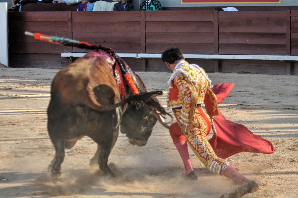 2016cordimamistres (347)