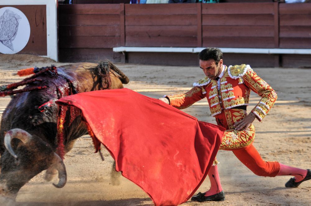 2016cordimamistres (348)