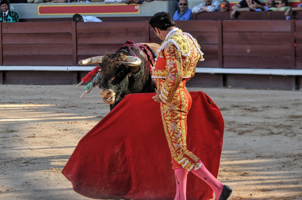 2016cordimamistres (349)