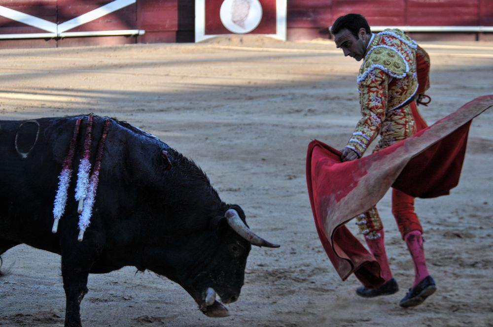 2016cordimamistres (35)