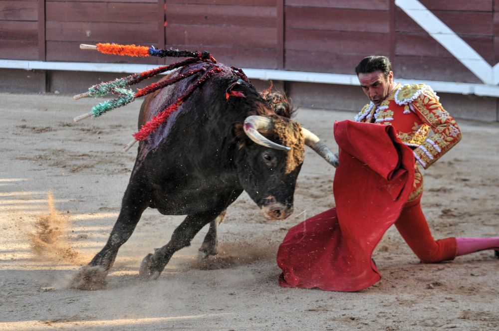 2016cordimamistres (350)
