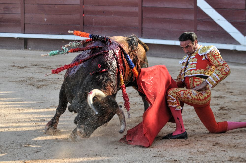 2016cordimamistres (351)