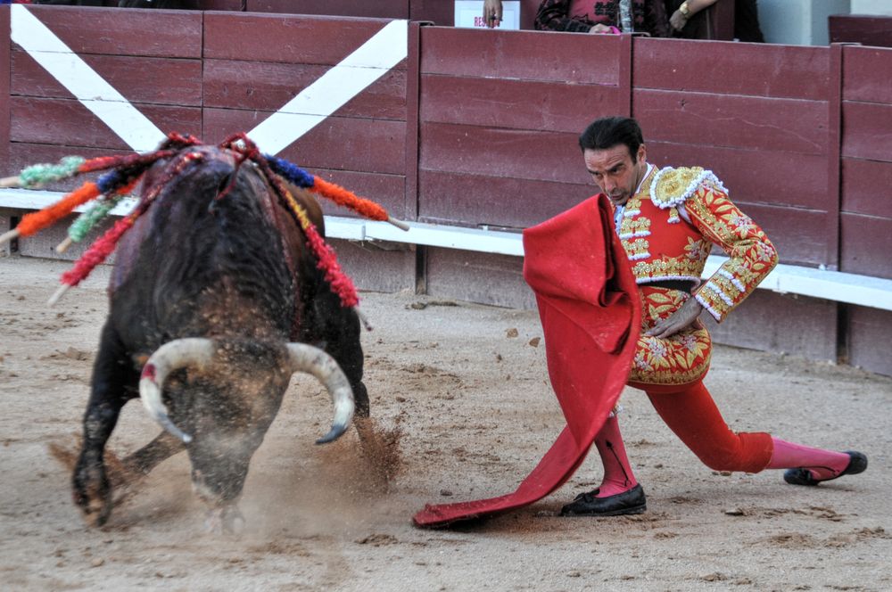 2016cordimamistres (352)