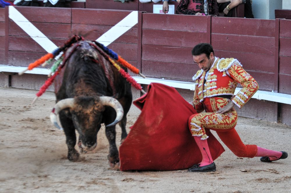2016cordimamistres (353)